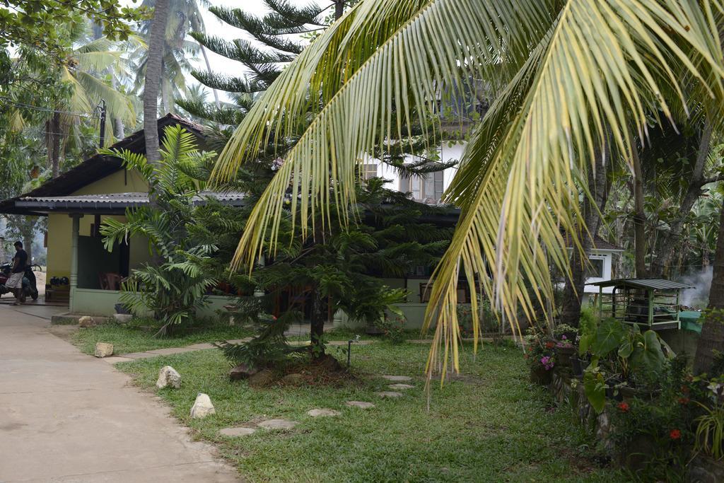 Traveller'S Home Hotel Tissamaharama Exterior photo